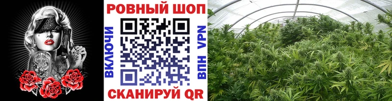 Купить наркотики цена Ростов Марихуана  Мефедрон  СК  ГАШИШ 
