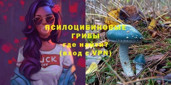 трава Алзамай