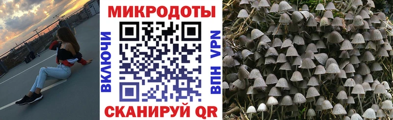 цены   Ростов  Псилоцибиновые грибы Magic Shrooms 